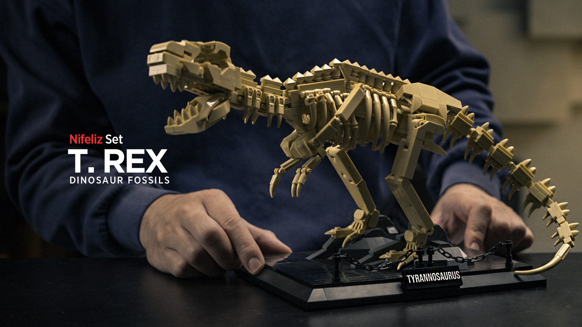 Amazon.com: Nifeliz T. Rex Dinosaur Fossil Building Set, NF10343